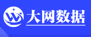 大网数据